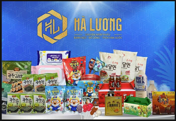 lĩnh vực hoạt động